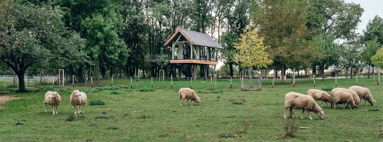 Studio Tyrpekl 