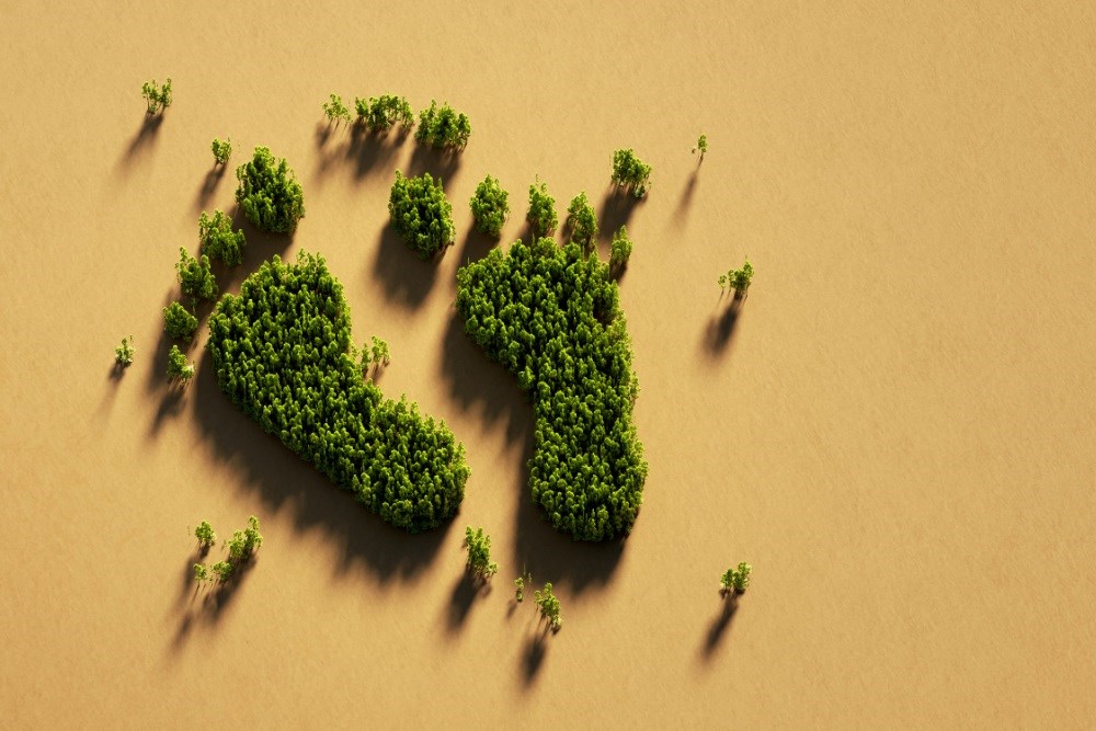 Yeşil Adımlar: Karbon Ayak İzi ve Çevre Dostu Tercihler