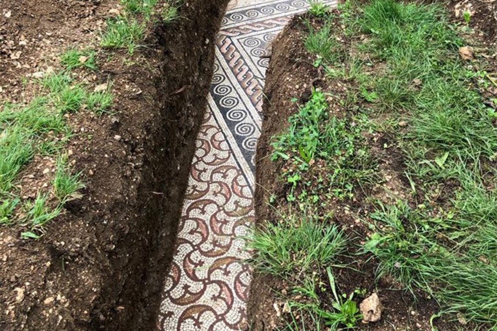 Üzüm Bağının Altında Ortaya Çıkan Antik Roma Mozaik Zemini