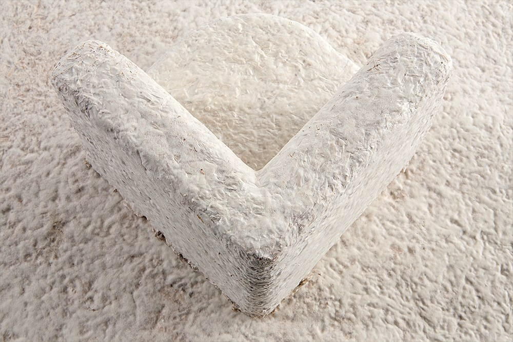 Sürdürülebilir Yeni Nesil Bir Malzeme, Miselyum