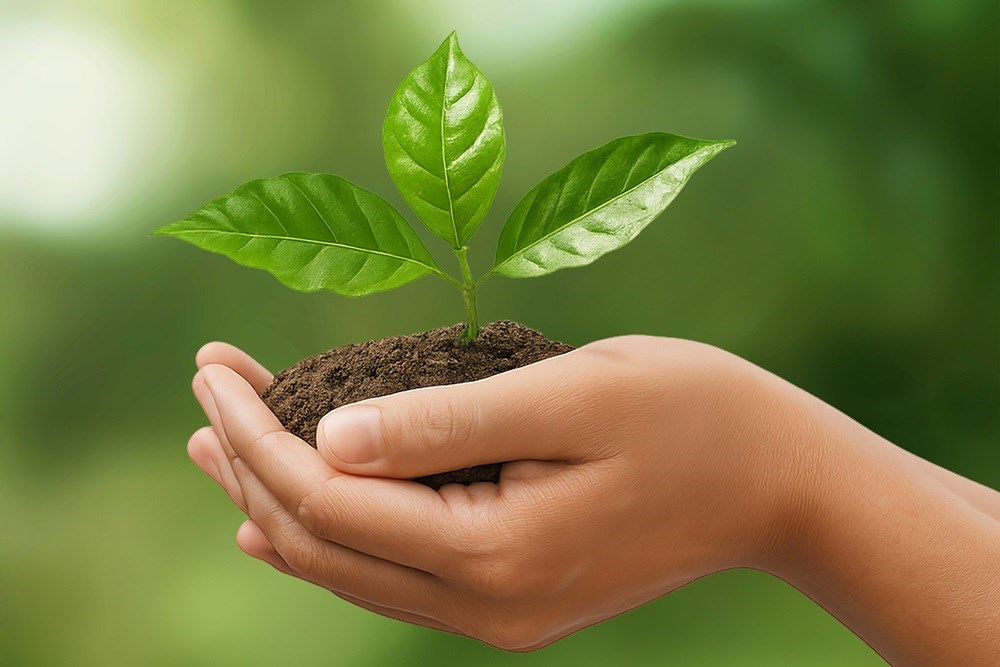 İzocam’dan Bir İlk: Sürdürülebilirlik Raporu Yayınlandı!