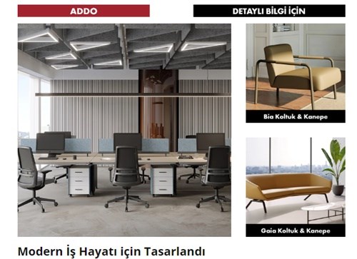 Seçki Ürünler Bülteni | Mart 2024 | Sayı:36