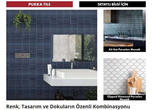 Seçki Ürünler Bülteni | Ekim 2024 | Sayı:42