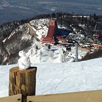 Danışmanlık Hizmeti