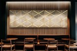 Triangle Paneling | Light Integrated - 1