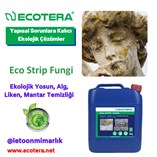 Eco Strip Fungi - 4
