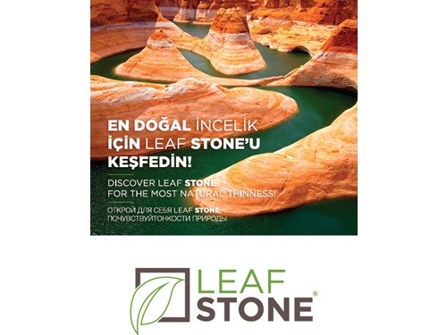 Leaf Stone Brochure