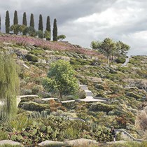 Peyzaj Mimarlığı Hizmetleri