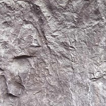 Panel | Cheyen Petra