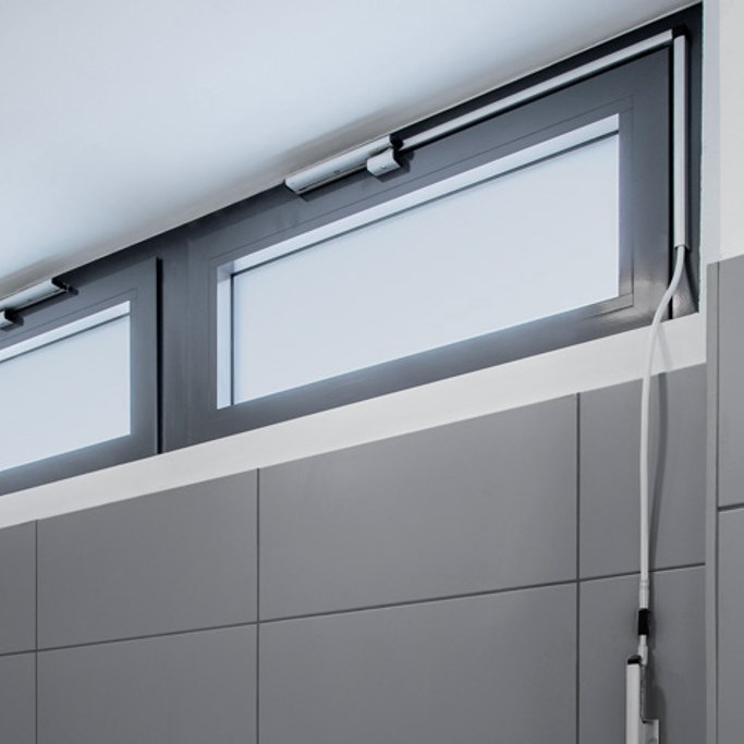 Manuel Vasistas Mekanizmaları