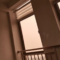 Bambupan Panel | Ayna Serisi