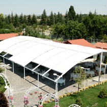 Pergola | Falcate Subulate